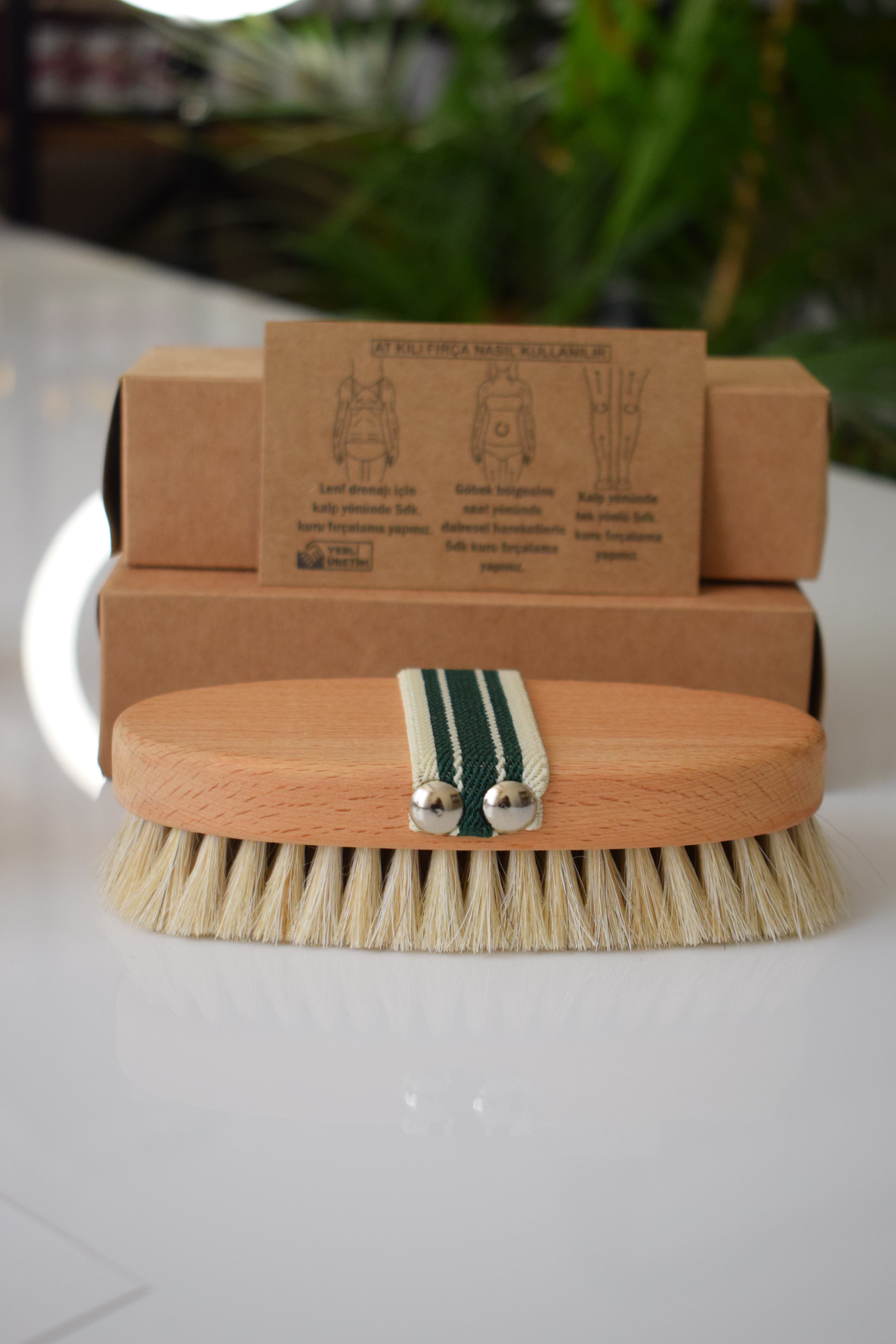 AT KILI FIRÇASI - VÜCUT