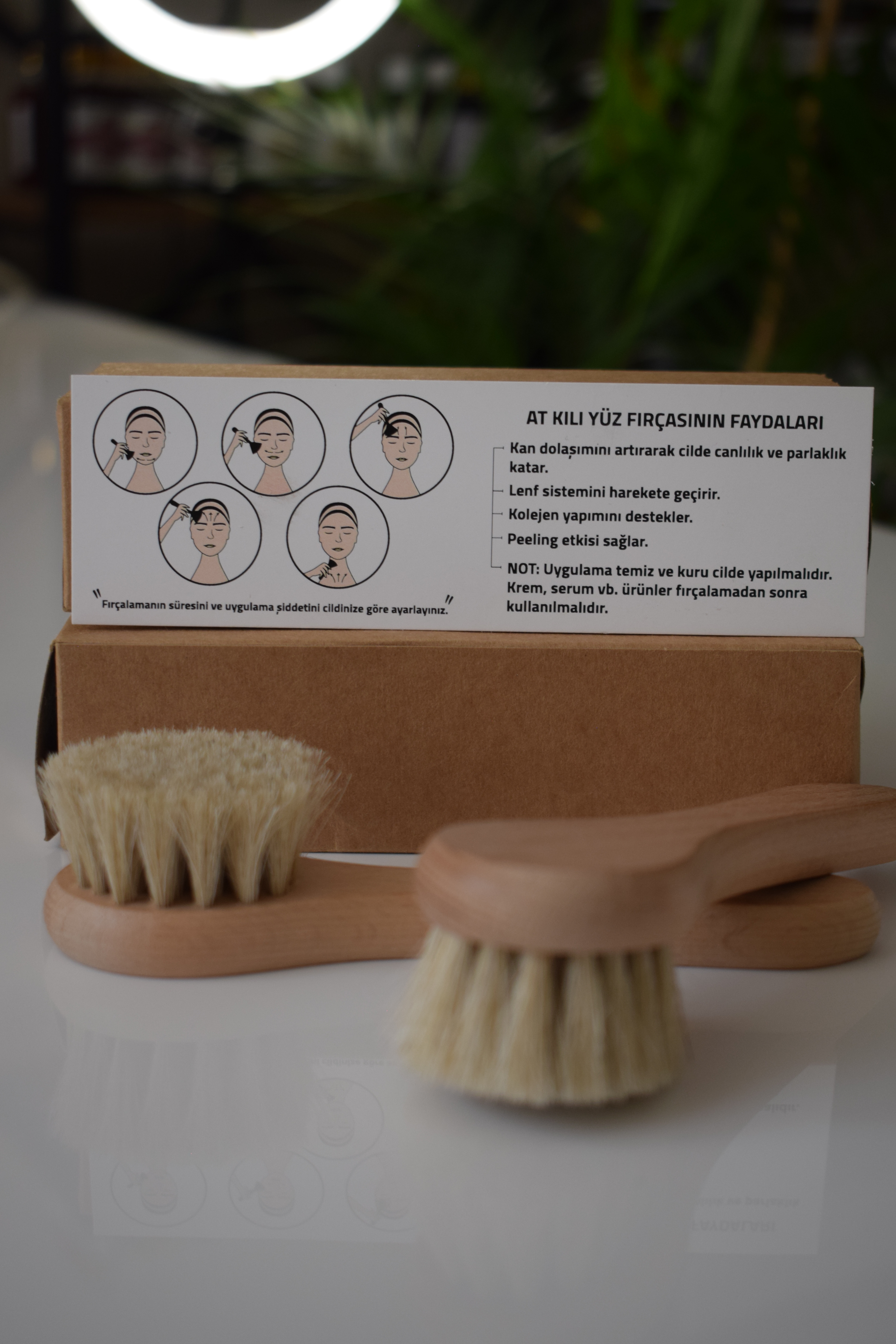 AT KILI FIRÇASI - YÜZ