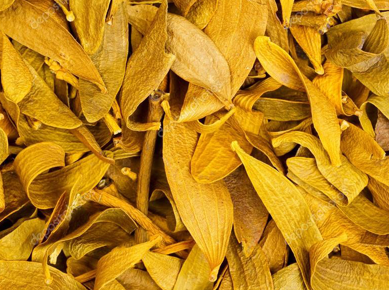 ÖKSE OTU BİTKİSİ - 200 GR